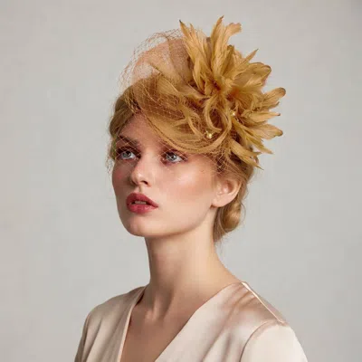 Fashnzfab Mesh Flower Feather Fascinator / Headband In Brown