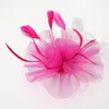 Fashnzfab Mesh Flower Feather Mesh Fascinator / Headband In Pink