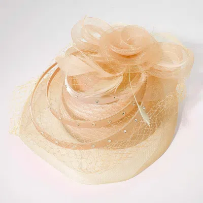 Fashnzfab Mesh Flower Feather Pointed Fascinator / Dressy Hat In Sand
