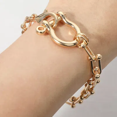 Fashnzfab Metal Carabiner Clasp Industrial Link Chain Bracelet In Gold
