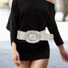 Fashnzfab Metal Oval Buckle Accent Wide Snake Print Elastic Waist Belt In Metallic