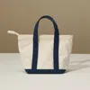 Fashnzfab Mini Multi Purpose Compact Canvas Tote Bag In Blue