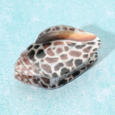 Fashnzfab Miter Shell Hair Claw Clip In Animal Print