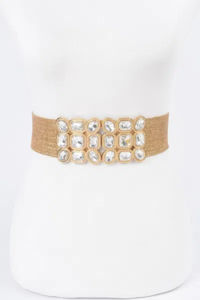 Fashnzfab Multi Stone Metallic Straw Stretch Belt In Gold