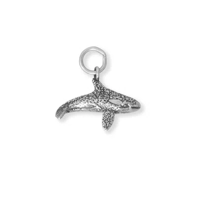 Fashnzfab Oxidized 3d Orca Whale Charm In Silver