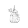 Fashnzfab Oxidized Michigan State Charm In Pattern