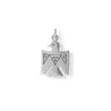 Fashnzfab Oxidized Thunderbird Charm In Metallic