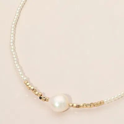 Fashnzfab Pearl Beaded Choker Necklace In Multi