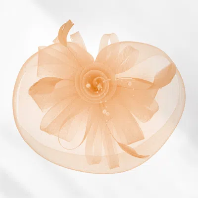 Fashnzfab Pearl Feather Mesh Flower Fascinator / Headband In Multi