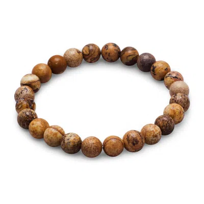 Fashnzfab Picture Jasper Stretch Bracelet In Brown
