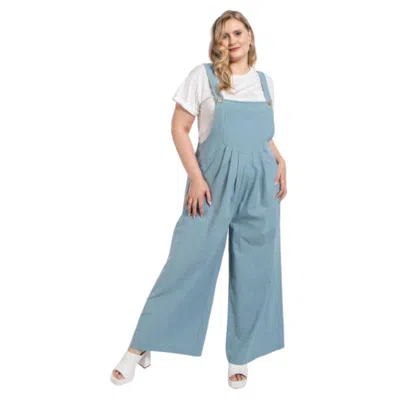Fashnzfab Pintuck Detail Overall With Side Pockets In Blue