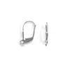 Fashnzfab Plain Leverbacks With Open Ring (2 Pair) In Metallic