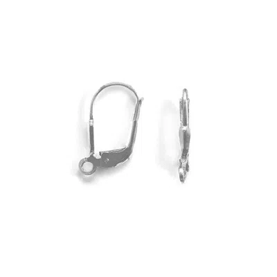 Fashnzfab Plain Leverbacks With Open Ring (2 Pair) In Metallic
