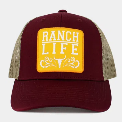 Fashnzfab Ranch Life Message Steer Head Patch Pointed Mesh Back Trucker Hat In Multi