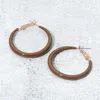 Fashnzfab Resin Hoop Earrings In Brown