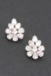 Fashnzfab Rhinestone Earring In Multi