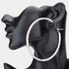 Fashnzfab Rhinestone Hoop Earrings - Ab, Silver In Metallic