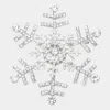 Fashnzfab Rhinestone Pave Snowflake Pin Brooch In Multi