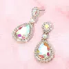 Fashnzfab Rhinestone Pave Trim Crystal Evening Earrings In Multi