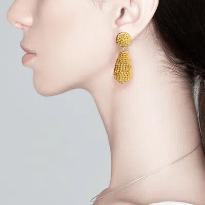 Fashnzfab Rhinestone Teardrop Dangle Evening Earrings - Lt Col Topaz In Brown