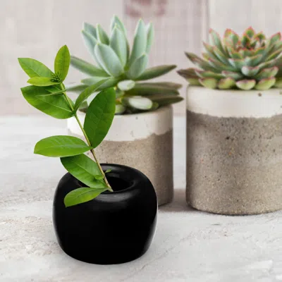 Fashnzfab Round Shaped Solid Ceramic Toothbrush Holder / Pen Stand