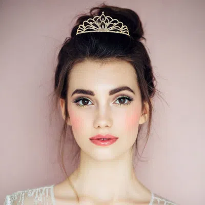Fashnzfab Round Stone Cluster Accent Rhinestone Paved Princess Tiara In Gold