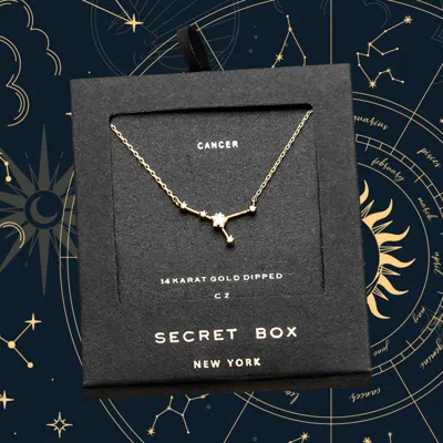 Fashnzfab Secret Box _ 14k Gold Dipped Cz Cancer Zodiac Sign Pendant Necklace