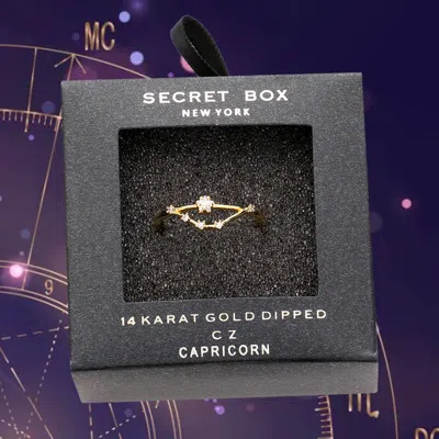 Fashnzfab Secret Box _ 14k Gold Dipped Cz Zodiac Sign Capricorn Sign Ring - Gold