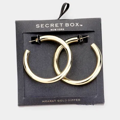 Fashnzfab Secret Box _ 14k Gold Dipped Hoop Earrings