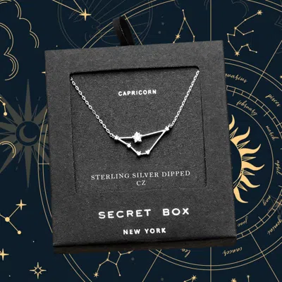 Fashnzfab Secret Box _ Sterling Silver Dipped Cz Capricorn Zodiac Sign Pendant Necklace