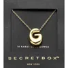 Fashnzfab Secret Box_ -g- 14k Gold Dipped Bubble Initial Monogram Pendant Necklace In Gold