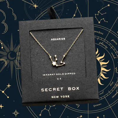Fashnzfab Secret Box_14k Gold Dipped Cz Aquarius Zodiac Sign Pendant Necklace