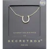 Fashnzfab Secret Box_14k Gold Dipped Cz Horseshoe Pendant Necklace In Gold