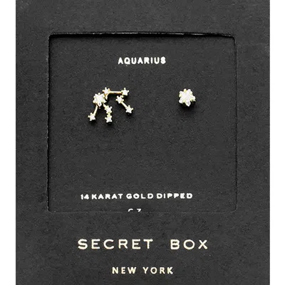 Fashnzfab Secret Box_14k Gold Dipped Cz Stone Paved Aquarius Zodiac Sign Stud Earrings