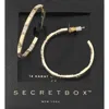 Fashnzfab Secret Box_14k Gold Dipped Cz Stone Paved Hoop Earrings - Gold In Gold