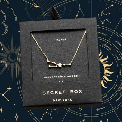 Fashnzfab Secret Box_14k Gold Dipped Cz Taurus Zodiac Sign Pendant Necklace