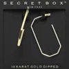 Fashnzfab Secret Box_14k Gold Dipped Geometric Hoop Earrings In Gold