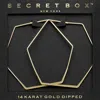Fashnzfab Secret Box_14k Gold Dipped Hexagon Hoop Earrings In Gold