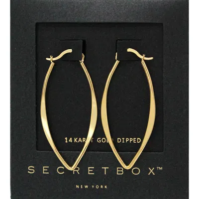 Fashnzfab Secret Box_14k Gold Dipped Metal Hoop Pin Catch Earrings