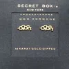 Fashnzfab Secret Box_14k Gold Dipped Progesterone Hormone Molecule Earrings - Gold In Gold