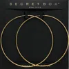 Fashnzfab Secret Box_14k Gold Dipped Wire Hoop Earrings - Gold In Gold