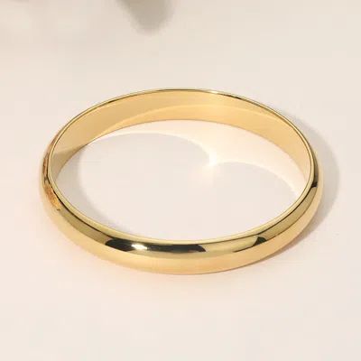 Fashnzfab Secret Box_stainless Steel Classic Smooth Bangle Bracelet In Red