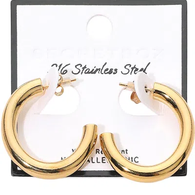 Fashnzfab Secret Box_stainless Steel Classic Thick Hoop Earrings In Gold