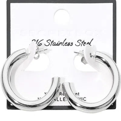 Fashnzfab Secret Box_stainless Steel Classic Thick Hoop Earrings In Multi