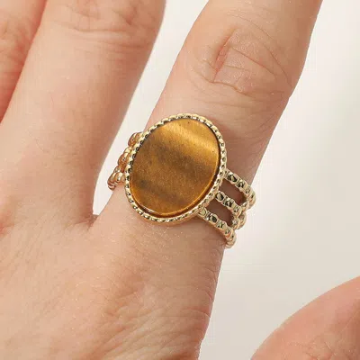 Fashnzfab Secret Box_stainless Steel Flat Oval Stone Accent Adjustable Ring In Brown