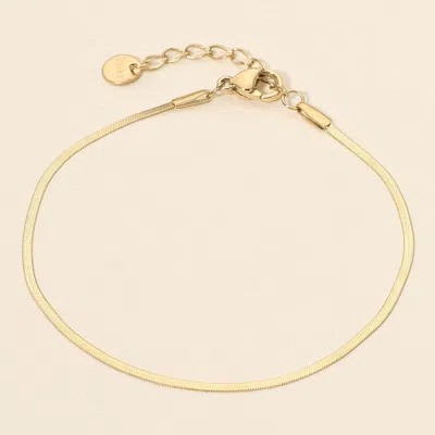 Fashnzfab Secret Box_stainless Steel Herringbone Chain Bracelet In Gold
