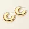 Fashnzfab Secret Box_stainless Steel Hoop Earringsgold In Gold