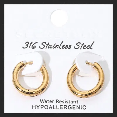 Fashnzfab Secret Box_stainless Steel Huggie Hoop Earrings In Gold
