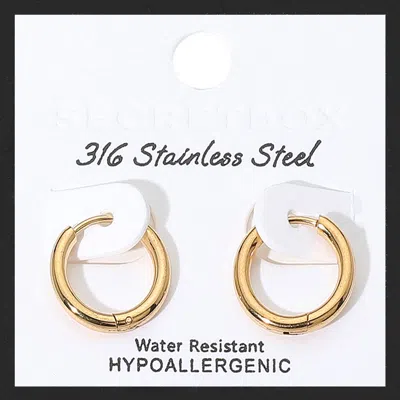 Fashnzfab Secret Box_stainless Steel Huggie Hoop Earrings In Gold