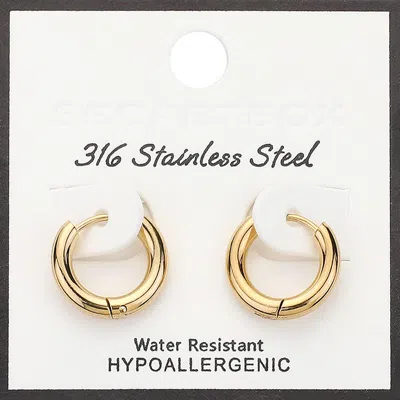 Fashnzfab Secret Box_stainless Steel Huggie Hoop Earrings Gold